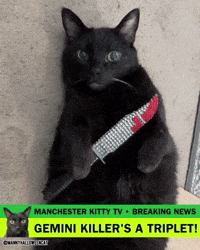 mannycat dexter black cat dexter resurrection gemini killer GIF
