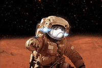 HogeFinanceOfficial space crypto moon astronaut GIF