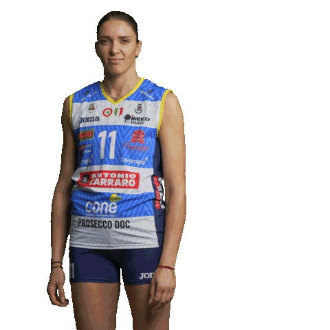 Volleyball Sticker by ImocoVolley