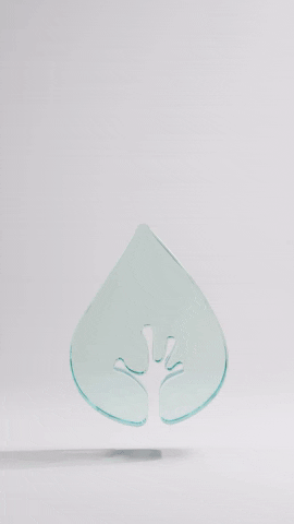 termygorce giphyupload GIF