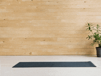 Yoga Karate GIF by Friluftsaktiviteter