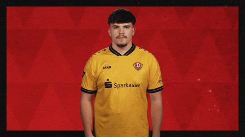 Dynamo Dresden Football GIF by Bundesliga