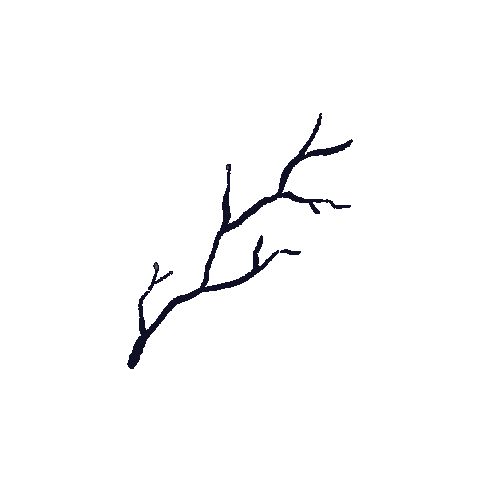 Flower Blooming Sticker