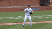 Celebrate Major League Baseball GIF by New York Mets