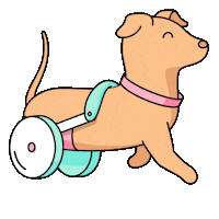dog disability Sticker by Burnt Toast Creative