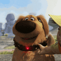 Golden Retriever Dogs GIF by Disney