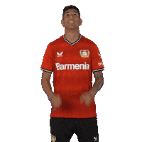 Football Look Up Sticker by Bayer 04 Leverkusen