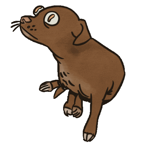 Dog Penny Sticker by Mike O.