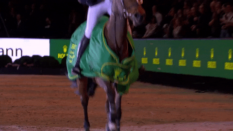RolexGrandSlam giphyupload horse horses netherlands GIF