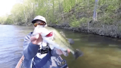 Fishing GIF by Karl's Bait & Tackle