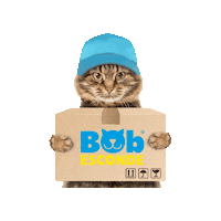 Bobesconde Sticker by Amafil