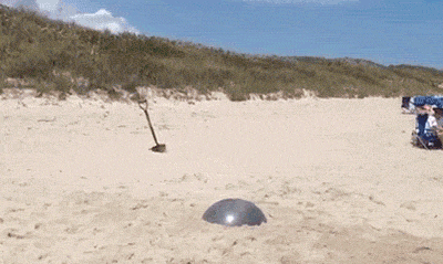 beach fail GIF by Cheezburger