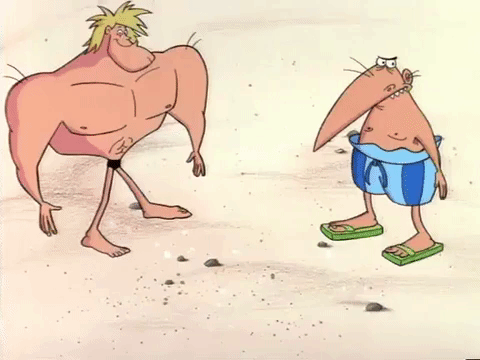 nickrewind giphydvr nicksplat angry beavers giphyab005 GIF