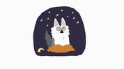 cat GIF