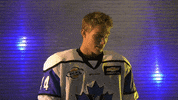 pentictonvees celebration goal hockey penticton vees GIF