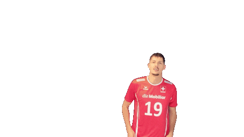 swiss_volley giphyupload svmnt Sticker