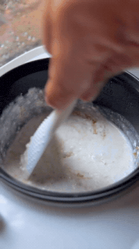 Mango Sticky Rice At Home | Rice Robot