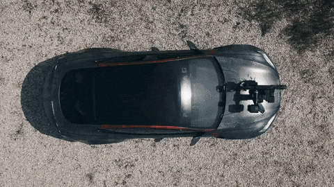 Apex Predator GIF by FullMag