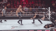 the shield wrestling GIF by WWE