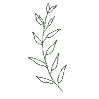 Leaf Growth Sticker by Journeywomen