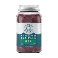 HerbalVineyards sea moss sea moss gel purple sea moss gold sea moss Sticker