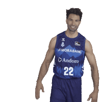 Liga Endesa Applause Sticker by ACB