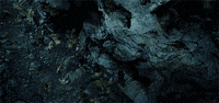 lord of the rings GIF by Maudit