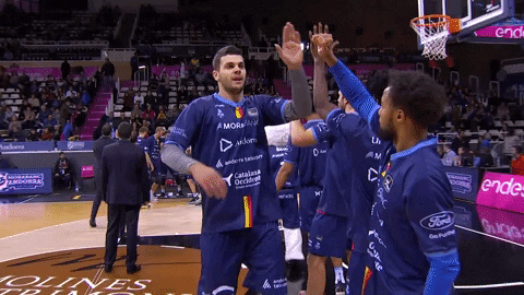 Liga Endesa Basketball GIF by ACB