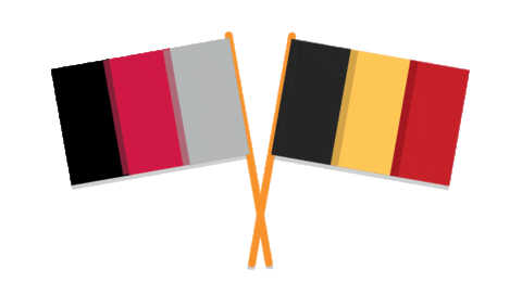 Flag Belgium Sticker by Plannercon Europe