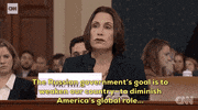 news impeachment impeachment inquiry opening statement fiona hill GIF