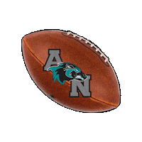 AlisoNiguelFootball football anhs aliso football anfootball Sticker