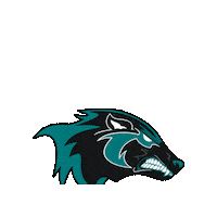 AlisoNiguelFootball teal anhs aliso football webleedteal Sticker