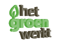 HetGroenWerkt boom plant bos groen Sticker