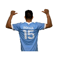 New York City Fc Reaction Sticker by NYCFC