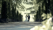 Slim Shady GIF by Eminem