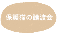 保護活動 Sticker