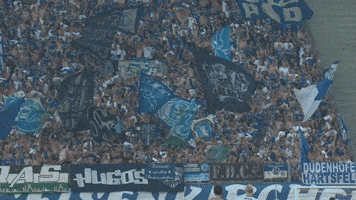 Football Soccer GIF by FC Schalke 04