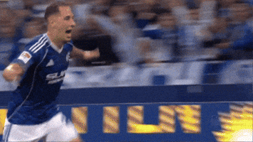 Football Soccer GIF by FC Schalke 04