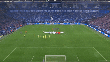 Football Soccer GIF by FC Schalke 04