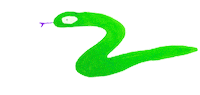 Snake Sticker