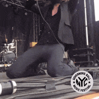 rock out father john misty GIF by GOVBALL NYC