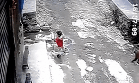 Animated GIF