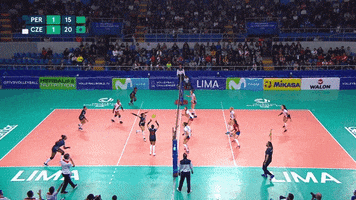 Happy Celebration GIF by Volleyball World