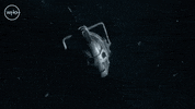 War Fight GIF by Doctor Who