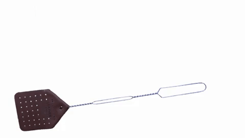 fly swatter GIF