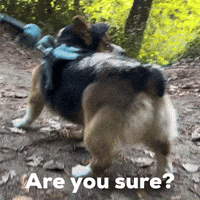 Are You Sure GIF