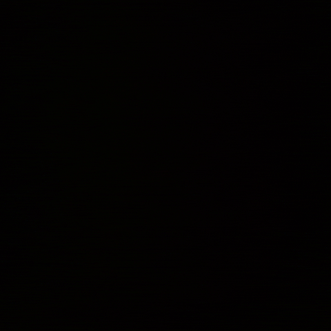 Tcg GIF by AAGrading