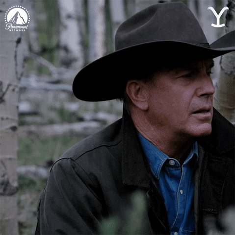 Kevin Costner Paramountnetwork GIF by Yellowstone