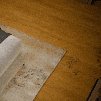 Clean House Home GIF by OpenDroids