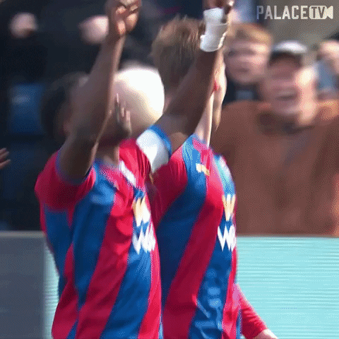 Premier League Hug GIF by CPFC